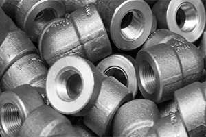Stainless & Duplex Steel Forged fitting