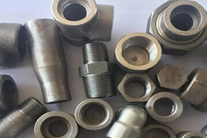 Titanium Forged fitting